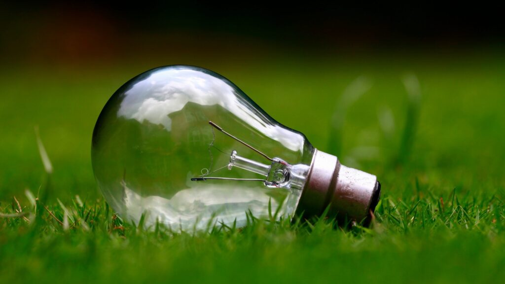 Lampadina di vetro nell’erba verde, simbolo di energia pulita e sostenibilità.