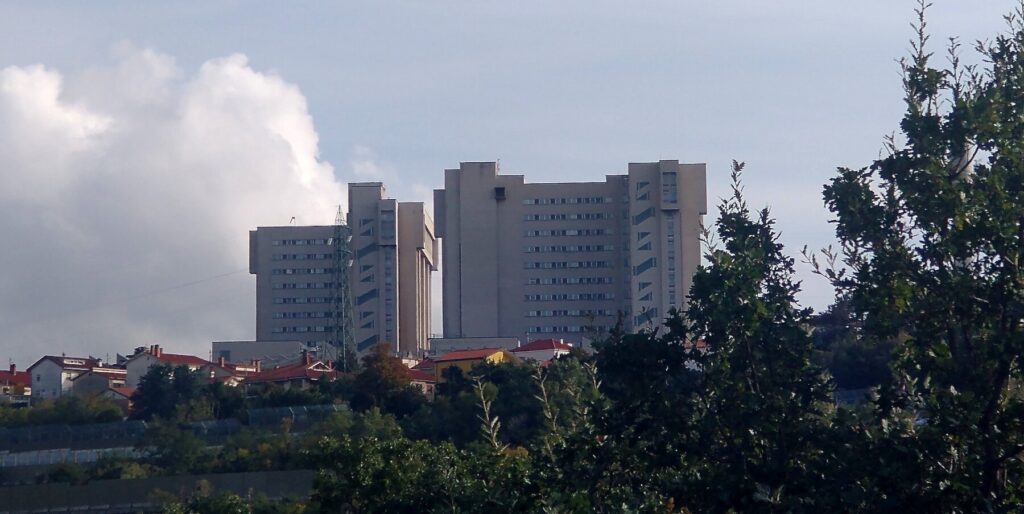 Skyline urbano con grattacieli, alberi in primo piano e cielo nuvoloso.