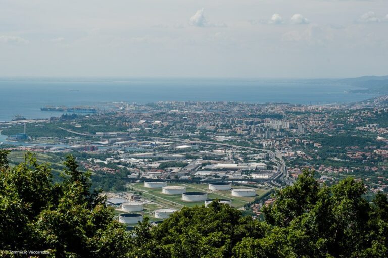 Panorama aereo di città costiera con porto, mare e colline verdi.