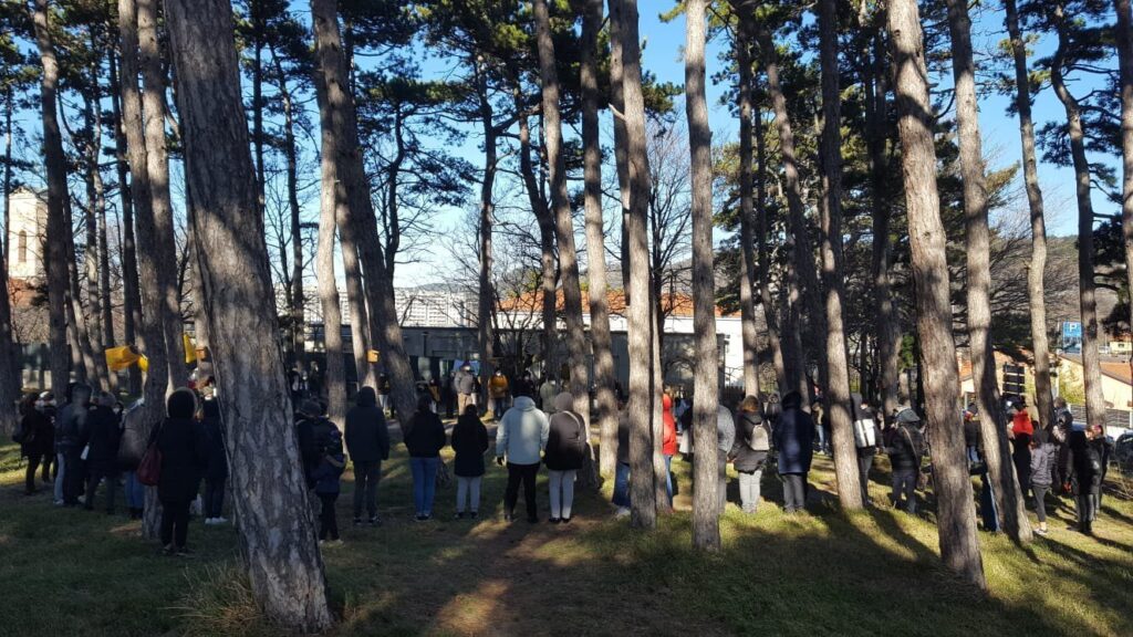 Raduno di persone tra i pini in un bosco soleggiato.