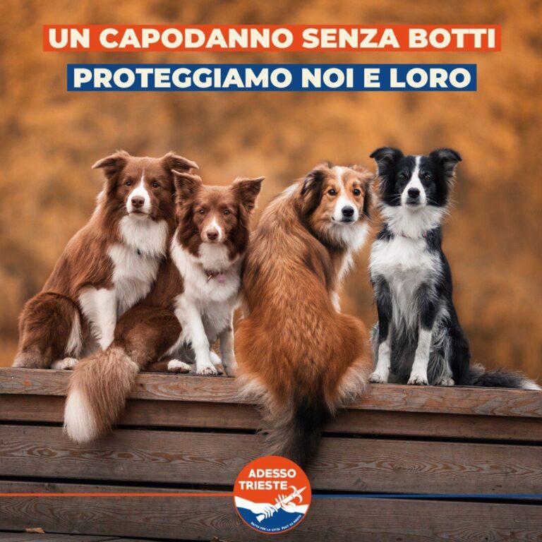 Capodanno senza botti: quattro cani e messaggio per proteggere animali e persone.