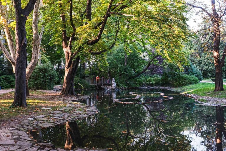 Ruscello tranquillo nel parco con alberi, riflessi sull’acqua e luce filtrata tra le foglie.